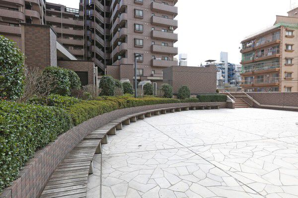 広々としたオープンスペースに、植栽やベンチをレイアウトしたパティオがあります。