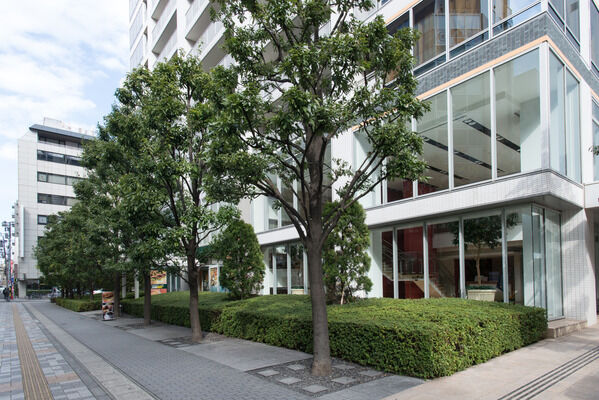 豊かな植栽は、都会に暮らしながら四季を感じられる貴方の癒しに。 豊かな植栽は、都会に暮らしながら四季を感じられる貴方の癒しに。