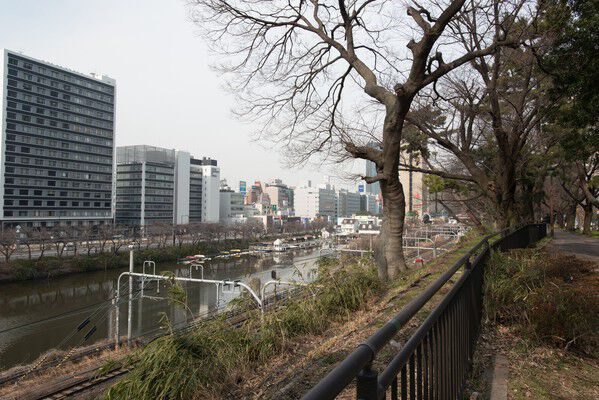 桜の名所としても知られる「外濠公園」まで約150m(徒歩2分)。 桜の名所としても知られる「外濠公園」まで約150m(徒歩2分)。