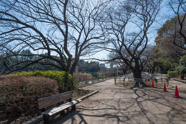 憩いの「千鳥ヶ淵公園」まで約770m（徒歩10分)。