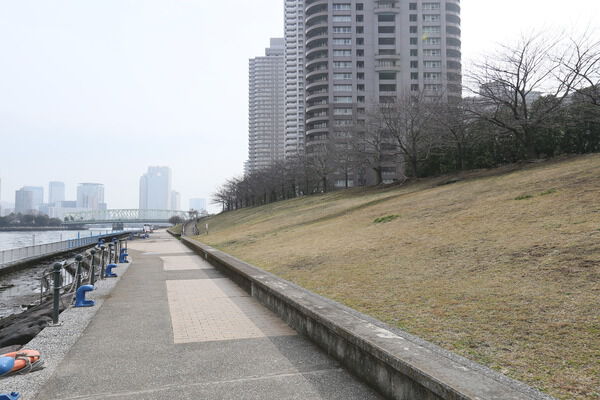 ジョギングや散歩に最適な「石川島公園」まで約1,400m（徒歩18分）。		