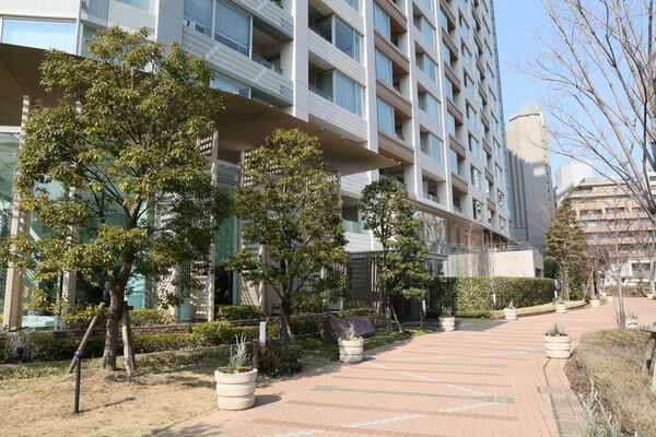 ソメイヨシノが覆う桜の丘へ続くエントランスアプローチ。