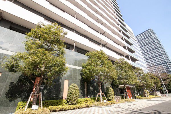 空地率約47%と贅沢なオープンスペースを確保。豊かな植栽が潤いを与えてくれます。		