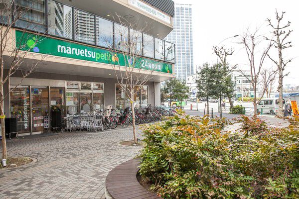「マルエツプチ港南シティタワー店」まで約420m(徒歩6分)		。 「マルエツプチ港南シティタワー店」まで約420m(徒歩6分)		。
