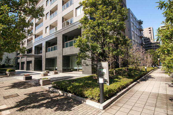 敷地外周部は、豊かな緑を配置し街並みに潤いを提供しています。