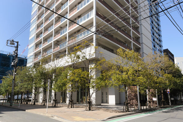 【パークタワー芝浦ベイワードオーシャンウイング】建物の前の並木が、やさしい雰囲気をかもし出します。 【パークタワー芝浦ベイワードオーシャンウイング】建物の前の並木が、やさしい雰囲気をかもし出します。