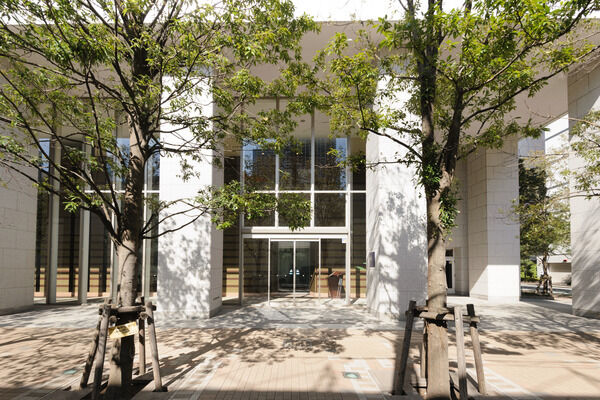 並木が緩やかに覆うアプローチは、プライベート空間への安心感を与えます。