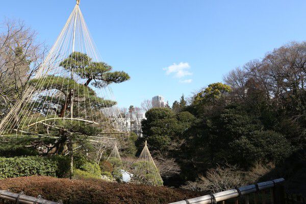 旧岡山池田藩下屋敷跡に残る「池田山公園」まで約1,100m（徒歩14分）。		