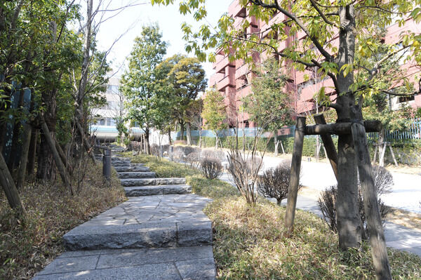 エントランスへ続く道は庭園の遊歩道のよう。 エントランスへ続く道は庭園の遊歩道のよう。