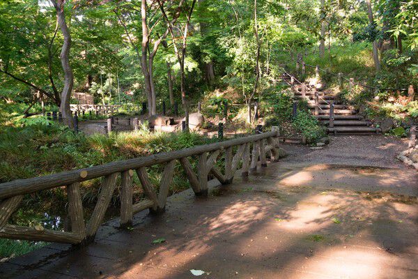 四季の草花、野鳥観察もできる「有栖川宮記念公園」まで約840m（徒歩11分)。