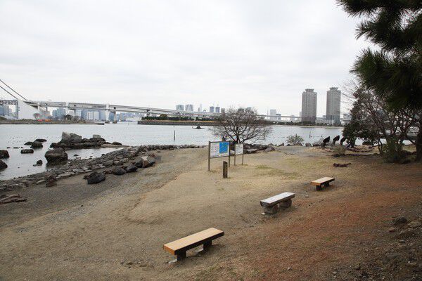 砂浜が続く「お台場海浜公園」まで約180m（徒歩3分）。		