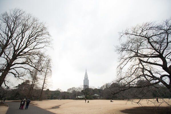 広大な敷地に自然豊かな「新宿御苑」約1,400m（徒歩18分）。