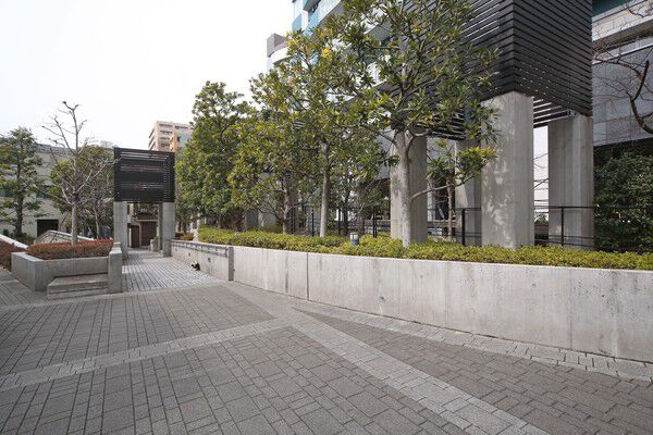 様々なイベントの拠点として活用されるオープンスペースには、高木が整然と並ぶ。		