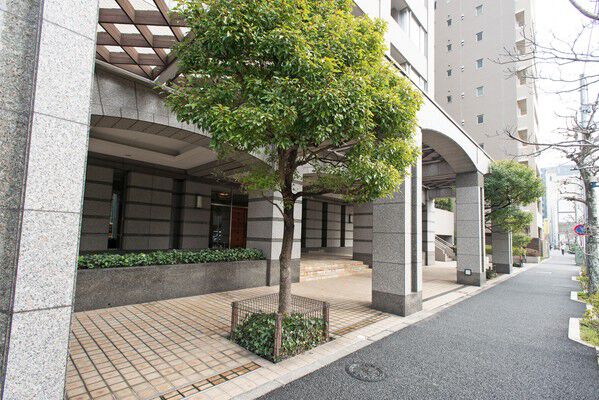 しっかりとした高さのある常緑樹には景観維持とともに、風やほこりを防ぐ機能も。		 しっかりとした高さのある常緑樹には景観維持とともに、風やほこりを防ぐ機能も。