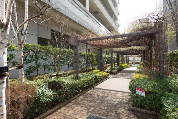 落ち着いた周辺環境に溶け込む公開空地は、敷地の約36％を占める。		