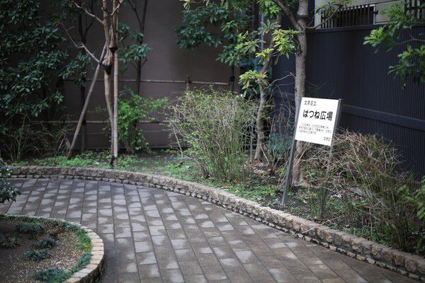 ガーデンデザイナーによる潤いあるランドスケープデザイン。		