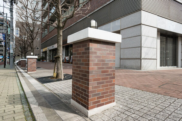 【パークホームズ小石川】建物と公道の間に約5mのゆとりを確保。並木の緑が生活に潤いをもたらします。