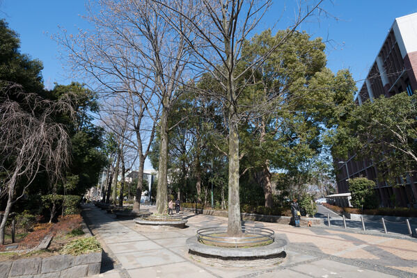 「区立教育の森公園」は、約11分(徒歩840m)。 「区立教育の森公園」は、約11分(徒歩840m)。