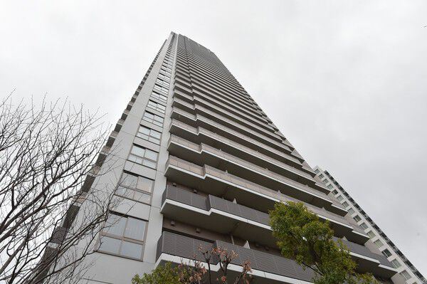 敷地内は「雑木の庭」や屋上庭園といった豊かな緑が広がっている。		