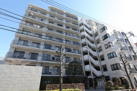 12階建、総戸数74戸。石塀が建物全体に落ち着きを与えています。 12階建、総戸数74戸。石塀が建物全体に落ち着きを与えています。