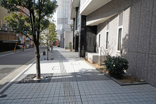 シラカシの並木とタイル張りの歩道が、街に溶け込むランドスケープ。		