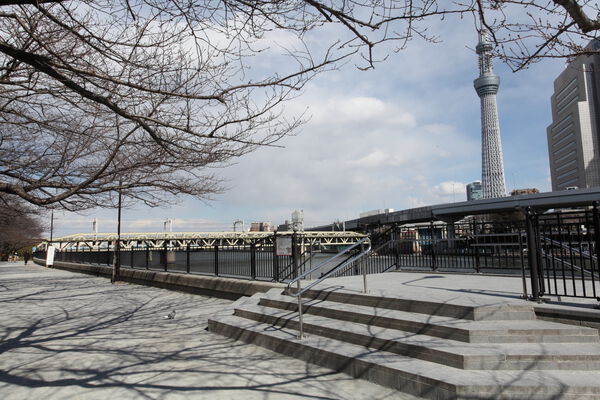 桜が美しい「隅田公園」まで約160m（徒歩2分）。