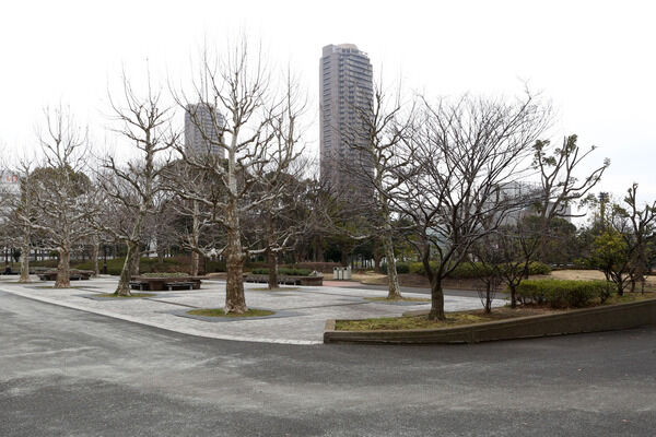 水と緑のコントラストが美しい「猿江恩賜公園」まで約300m（徒歩4分）。		