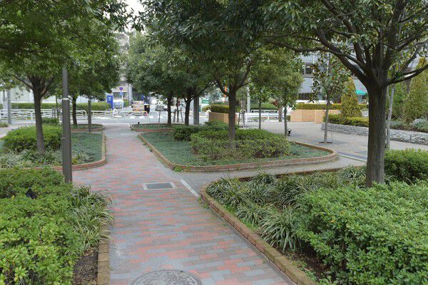 豊かな緑が周辺環境に融け込むオープンスペース。		