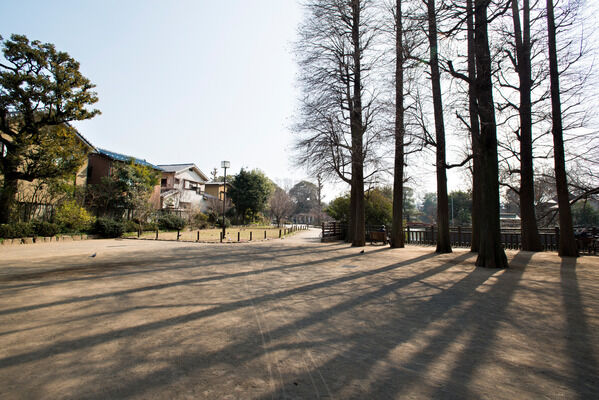緑豊かな「碑文谷公園」は、約720m(徒歩9分)。 緑豊かな「碑文谷公園」は、約720m(徒歩9分)。