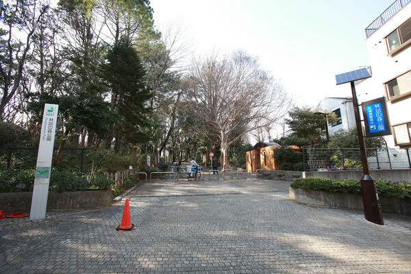 「林試の森公園」まで約720m（徒歩9分)。		