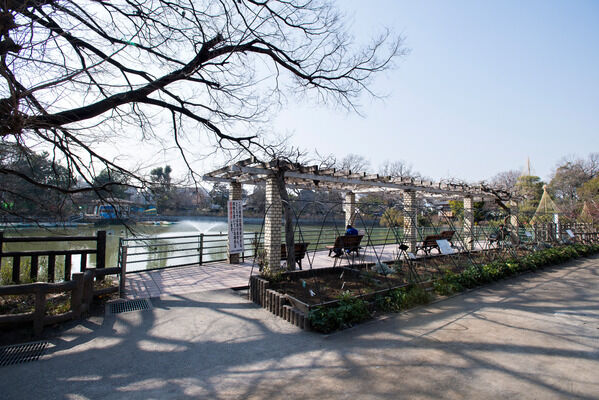 「碑文谷公園」は、約910m（徒歩12分）。