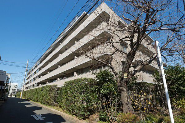 【学芸大学南パークホームズ】一階の住戸にはテラスを持つ専用庭を用意。サンルーム、ロフトを備える住戸あり。		