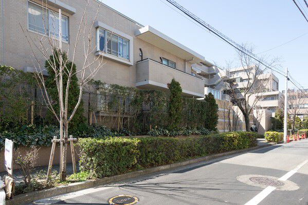 建物北側エントランス面には、春になると花を咲かせる桜並木の遊歩道。		