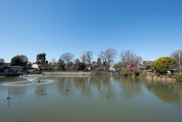 四季折々の景色。体育館や動物広場もある「碑文谷公園」まで約160ｍ（徒歩2分）。		