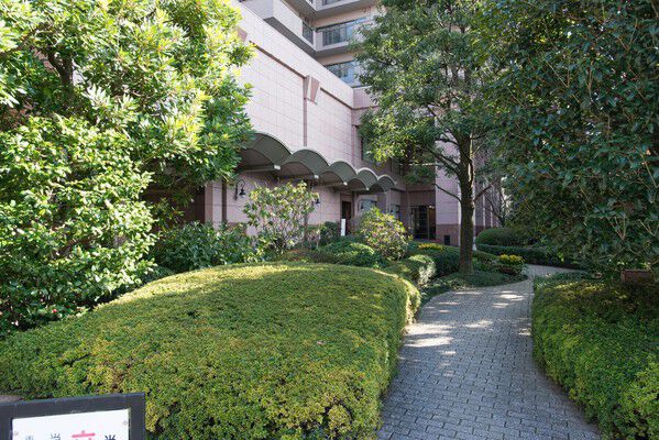 シラカシやボダイジュなど、敷地内には多くの木々が植えられています。		 シラカシやボダイジュなど、敷地内には多くの木々が植えられています。