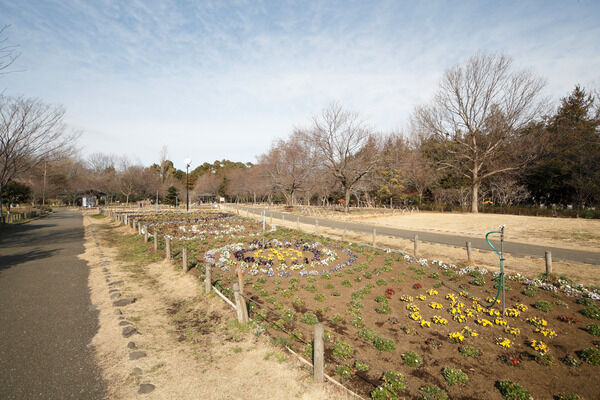 豊かな緑が広がる「蘆花恒春園」は、約1,310m（徒歩17分）。
