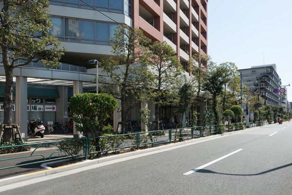 街並みの景観を高め、人と街を潤す緑豊かなランドスケープ。 街並みの景観を高め、人と街を潤す緑豊かなランドスケープ。