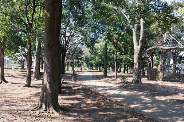 自然が広がる「駒沢オリンピック公園」まで約2,000m(徒歩25分)。 自然が広がる「駒沢オリンピック公園」まで約2,000m(徒歩25分)。