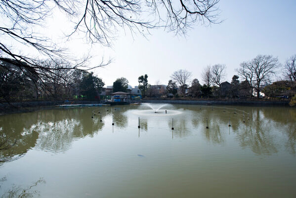 自然豊かな「碑文谷公園」は、約1,200m(徒歩15分）。