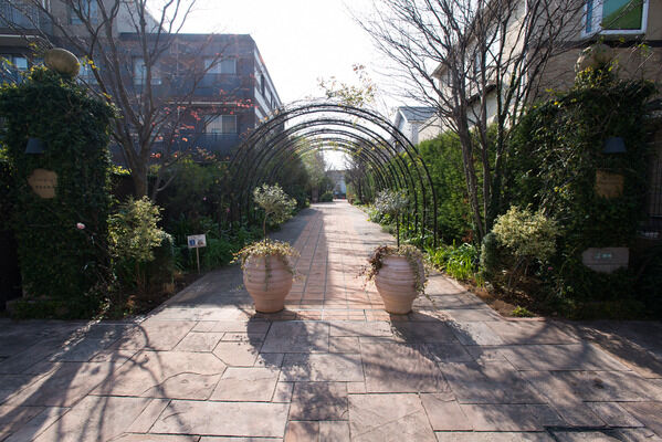 敷地内のガーデンには、四季の表情豊かな草花が一年中花をつけます。