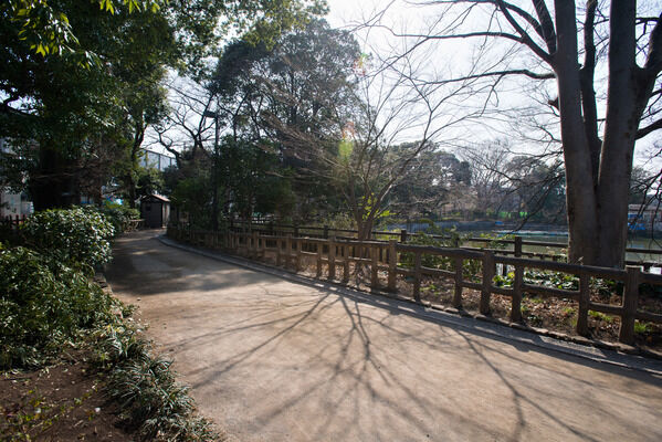 自然豊かな「碑文谷公園」は、約650m（徒歩9分）。