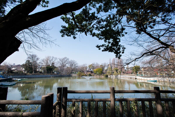 「碑文谷公園」は、約800m(徒歩10分）。