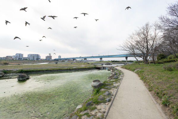 緑豊かな「兵庫島公園」は約290m（徒歩4分）。ピクニックや水浴びが楽しめます。