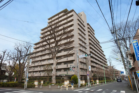 青葉が茂るケヤキがシンボルツリーとして採用されています。