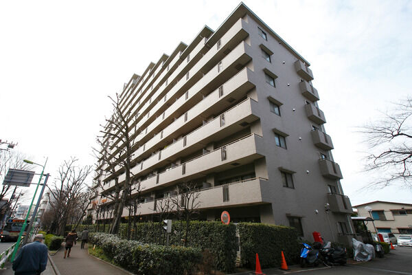 直線と曲線を組み合わせた歩道沿いにはベンチがあります。