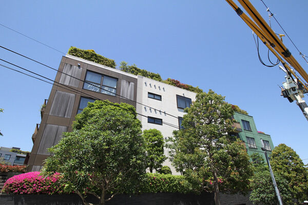 フォレストテラス松濤