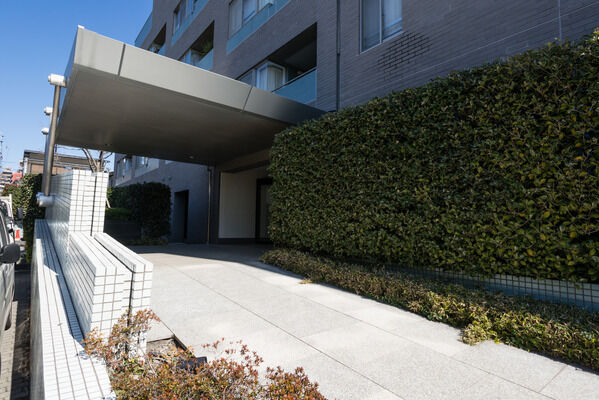 アプローチを抜け風除室に立つと緑鮮やかな中庭が目に入る。