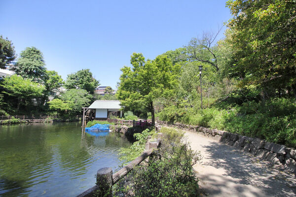 渋谷区立鍋島松濤公園　現地より約50m