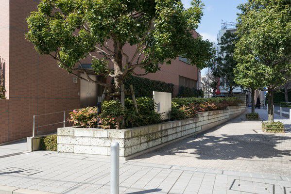 敷地沿いに連なる木々は保存樹を活かして彩り鮮やかに植栽。		 敷地沿いに連なる木々は保存樹を活かして彩り鮮やかに植栽。