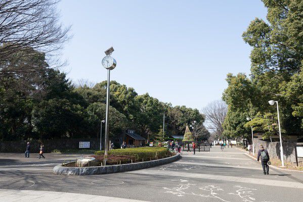 四季折々の緑が楽しめる「代々木公園」まで約930m(徒歩12分)。 四季折々の緑が楽しめる「代々木公園」まで約930m(徒歩12分)。